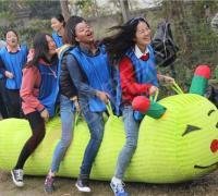 沈阳公司企业组织团建到绿石谷景区游玩